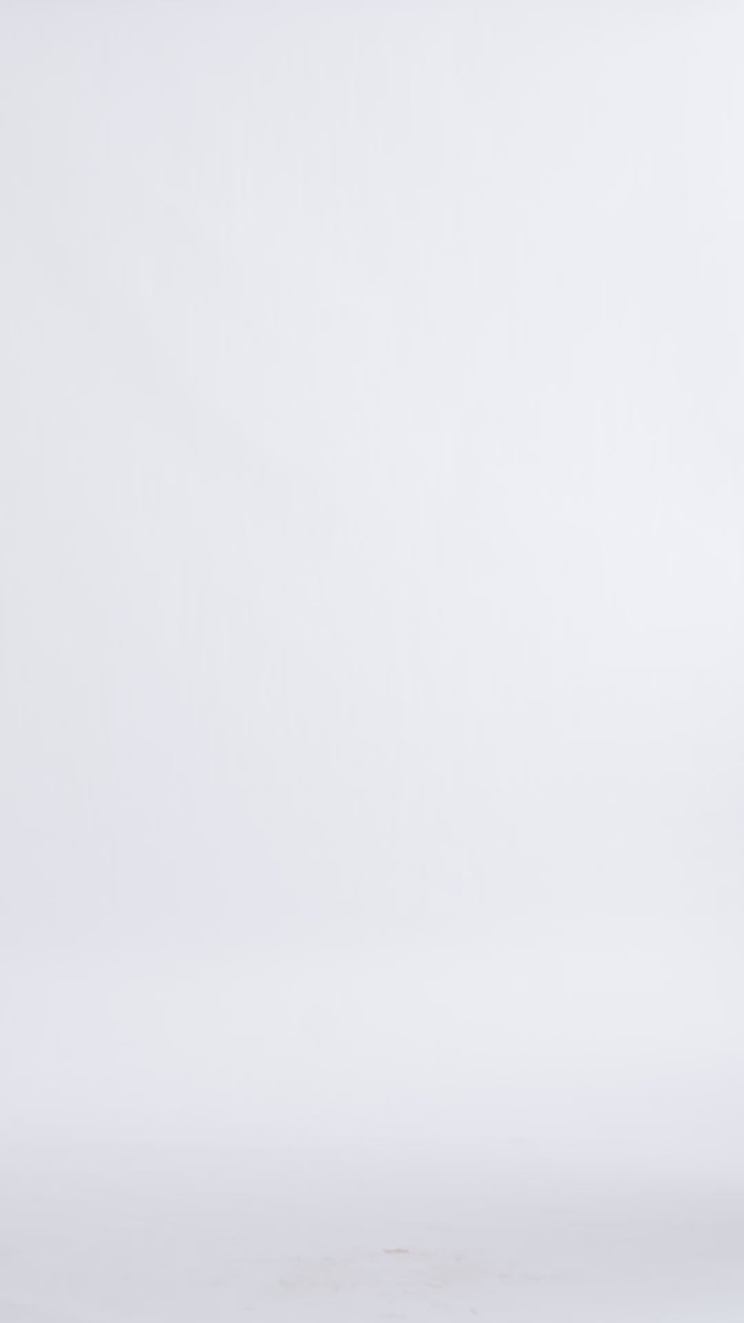 Roga Obsidian Form Set